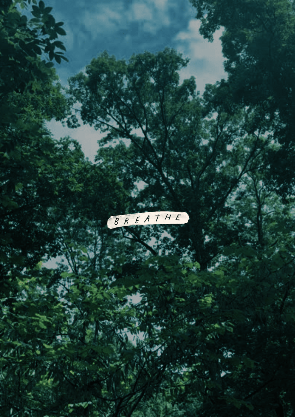 Breathe (+ New Free&nbsp;Workshops!)